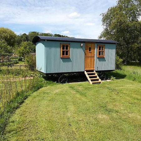 Gaggle Of Geese Pub - Shepherd Huts & Bell Tents Dorchester Bagian luar foto